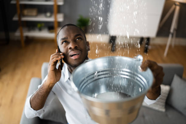 Best Professional water damage repair  in Madison, AL