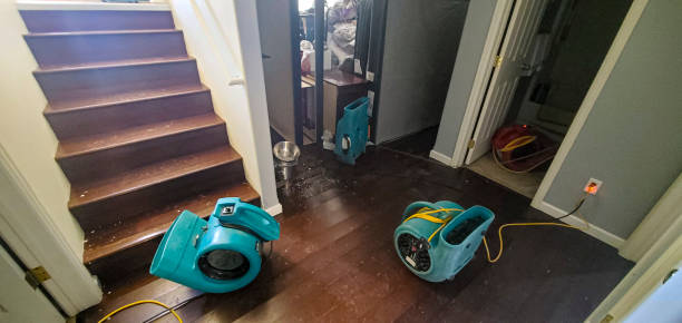 Best Emergency water damage restoration  in Madison, AL