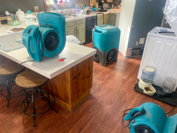  Madison, AL Water damage restoration Pros