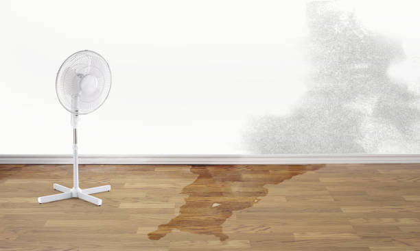 Best Water damage restoration cost  in Madison, AL