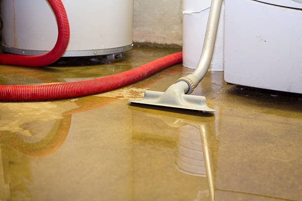 Best Water damage cleanup near me  in Madison, AL