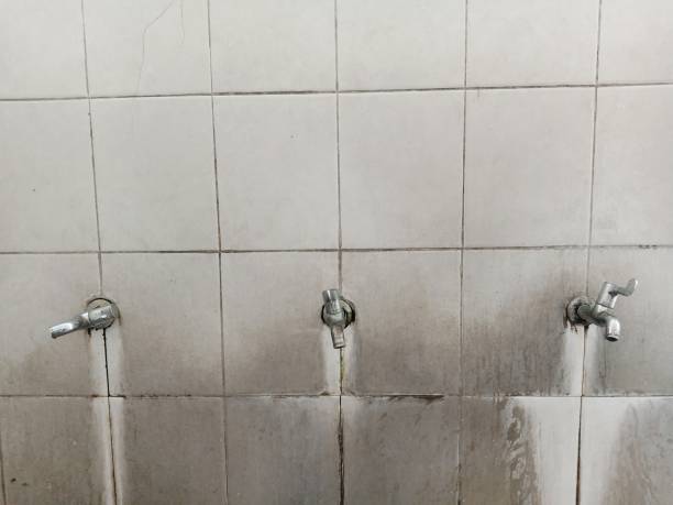 Best Residential water damage restoration  in Madison, AL