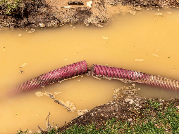 Best Commercial water damage restoration  in Madison, AL