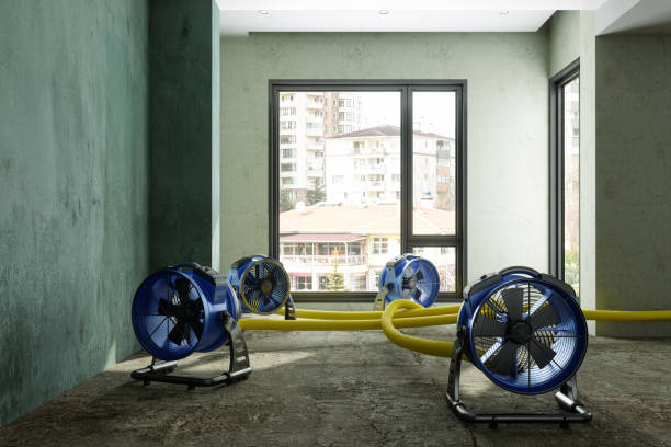 Best Water damage restoration experts  in Madison, AL