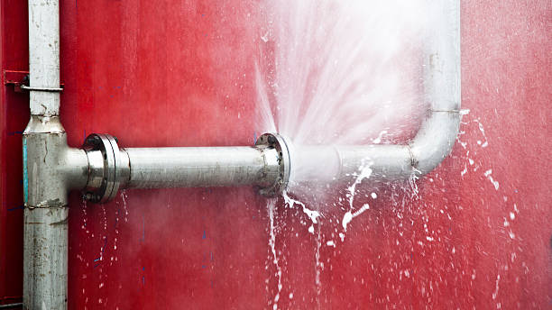 Best 24/7 water damage repair  in Madison, AL